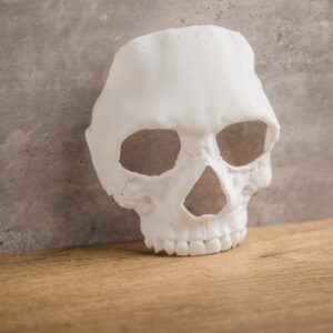 Maska bojovníka s tajomstvom